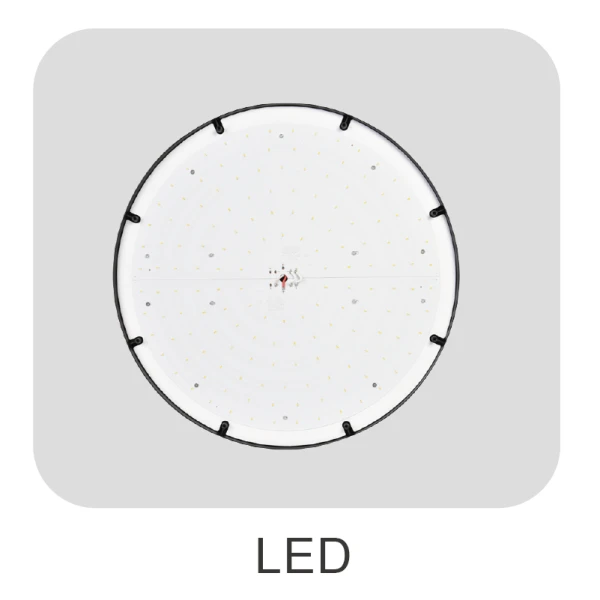 DLG-S-005-3 DLG-S-005-3